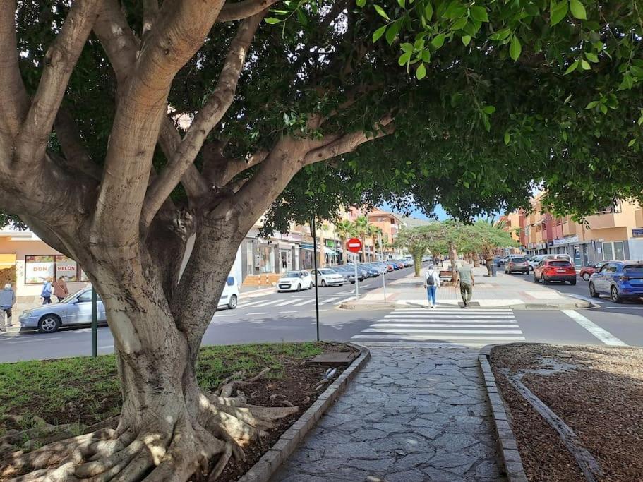 Apartamento Nicolas Candelaria Luaran gambar